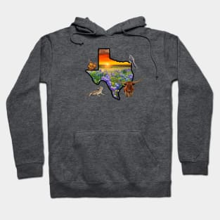 Texas Symbols Hoodie